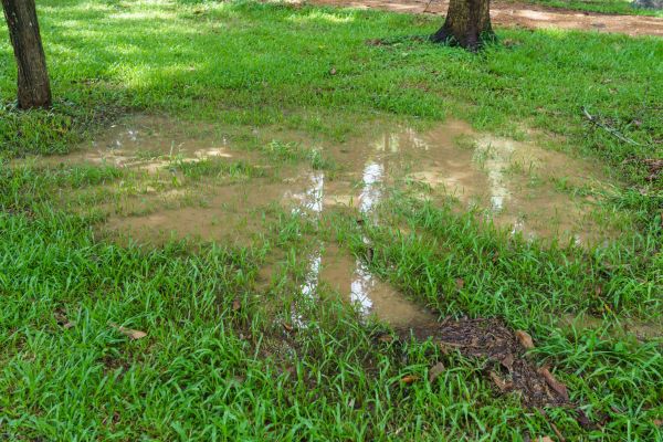 Cost of Storm Water Drainage Service in Apache Junction