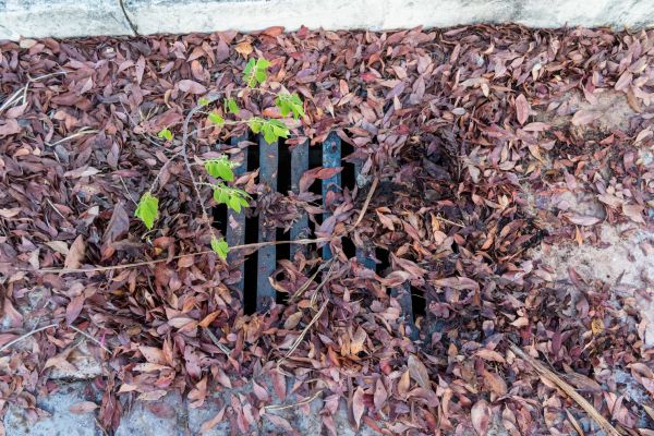 Cost of Yard Drain Unclogging in Apache Junction