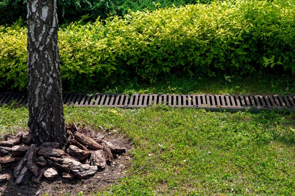 Cost of Yard Water Redirection in Apache Junction