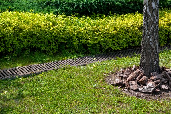 Residential Landscape Drainage in Apache Junction